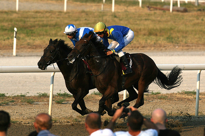 Foto: Tanjug/Miloš Jelesijević