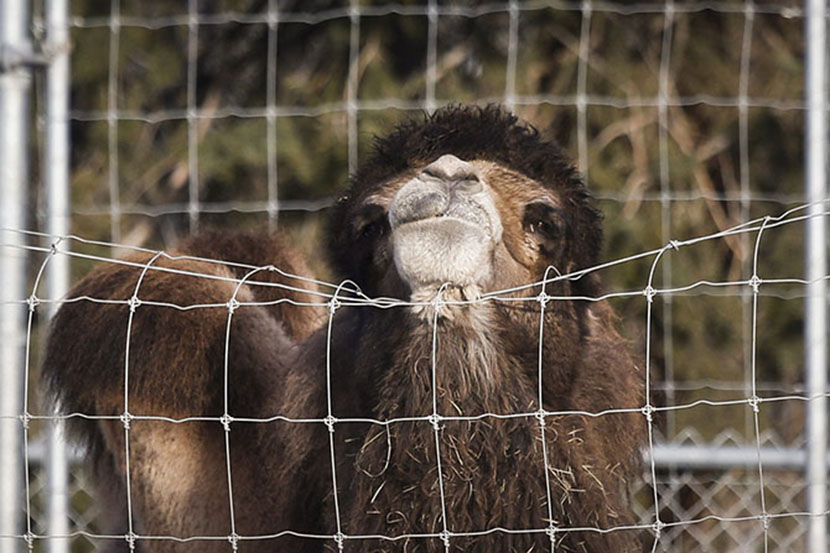 Foto: AP/Tanjug