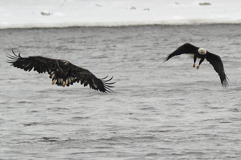 Foto: AP/Tanjug