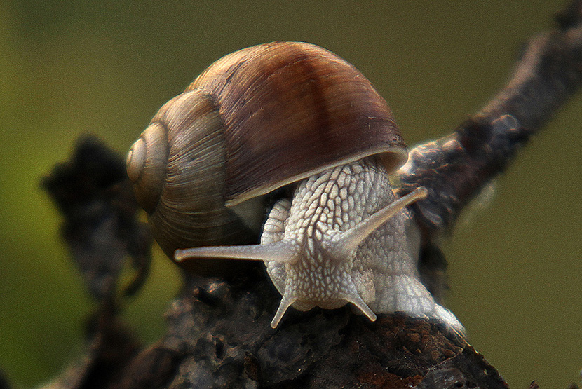 Foto: Tanjug/Jaroslav Pap