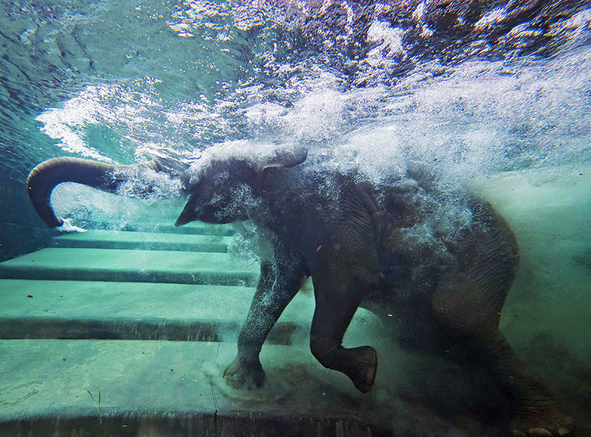 Foto: Tanjug/AP/Jens Meyer