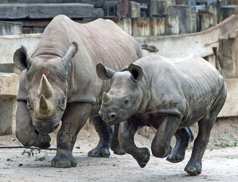 Foto: Tanjug/AP/Jens Meyer