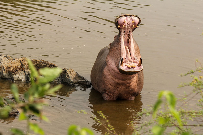 Foto: AP/Tanjug