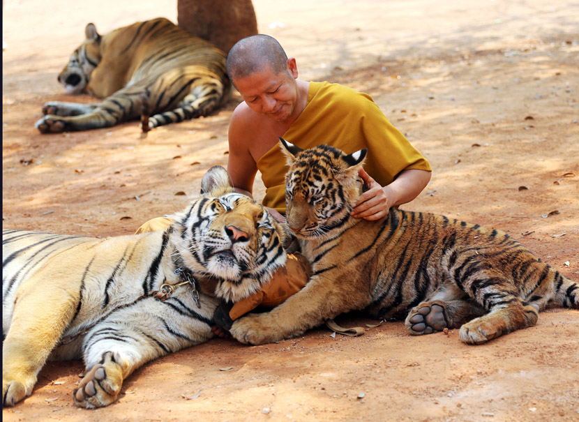 Foto: Tanjug/AP/Sakchai Lalit