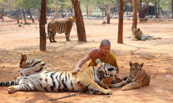 Foto: Tanjug/AP/Sakchai Lalit