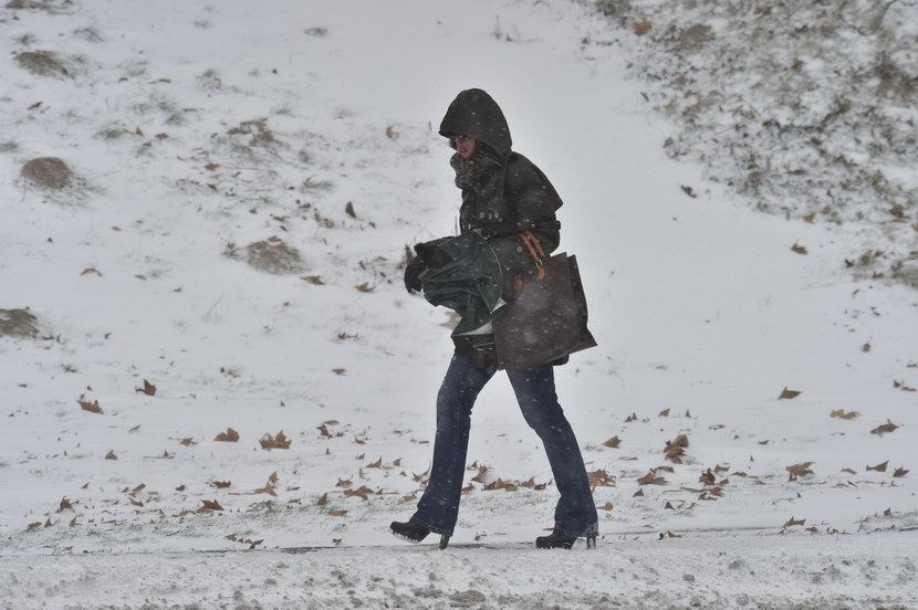 Foto: Tanjug/Srđan Ilić