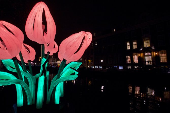 Festival svetla u Amsterdamu. Foto: Tanjug/AP