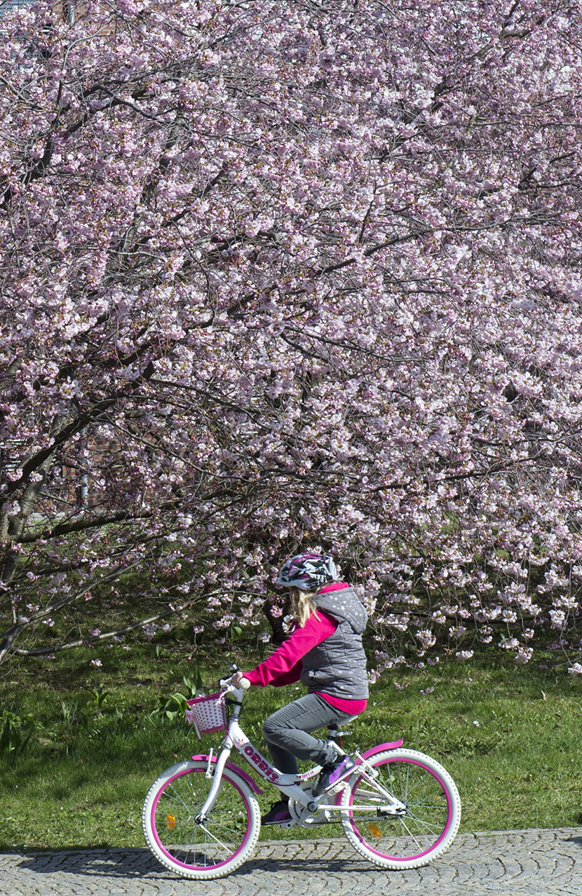 Foto: Tanjug/AP