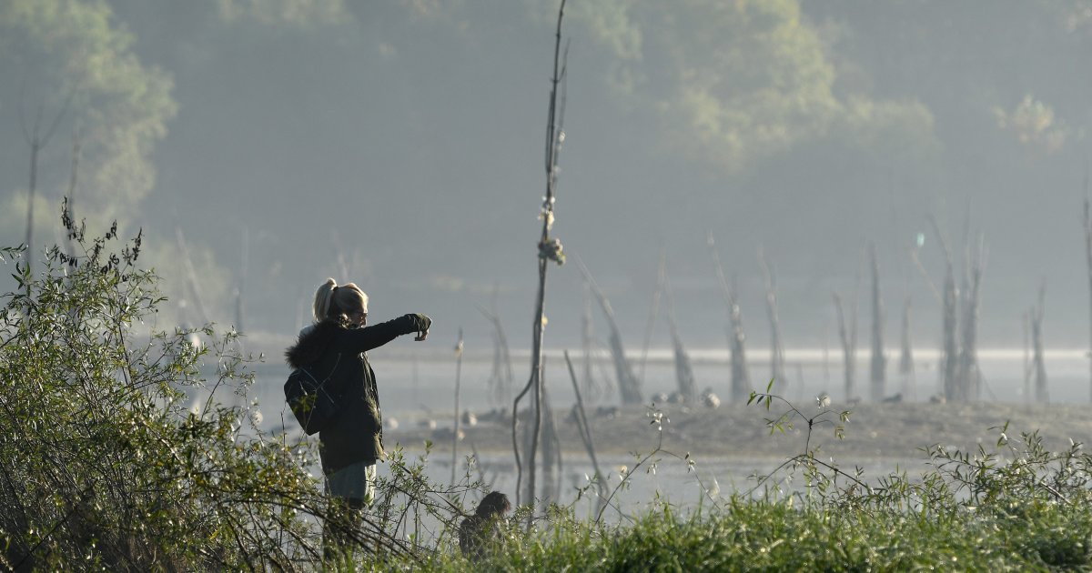 Maglovito I Tmurno Jutro Obla An Dan Ali Temperatura Danas I Do