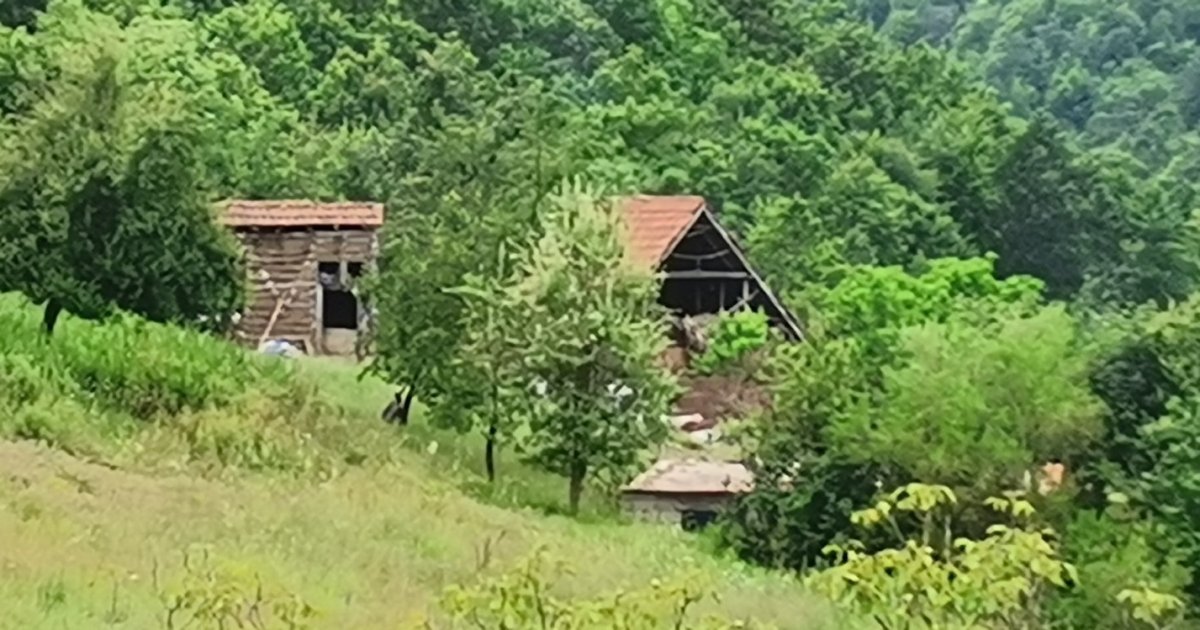 Ovo Je Ku A U Kojoj Se Desio U As Kod Boljevaca Telegraf Rs