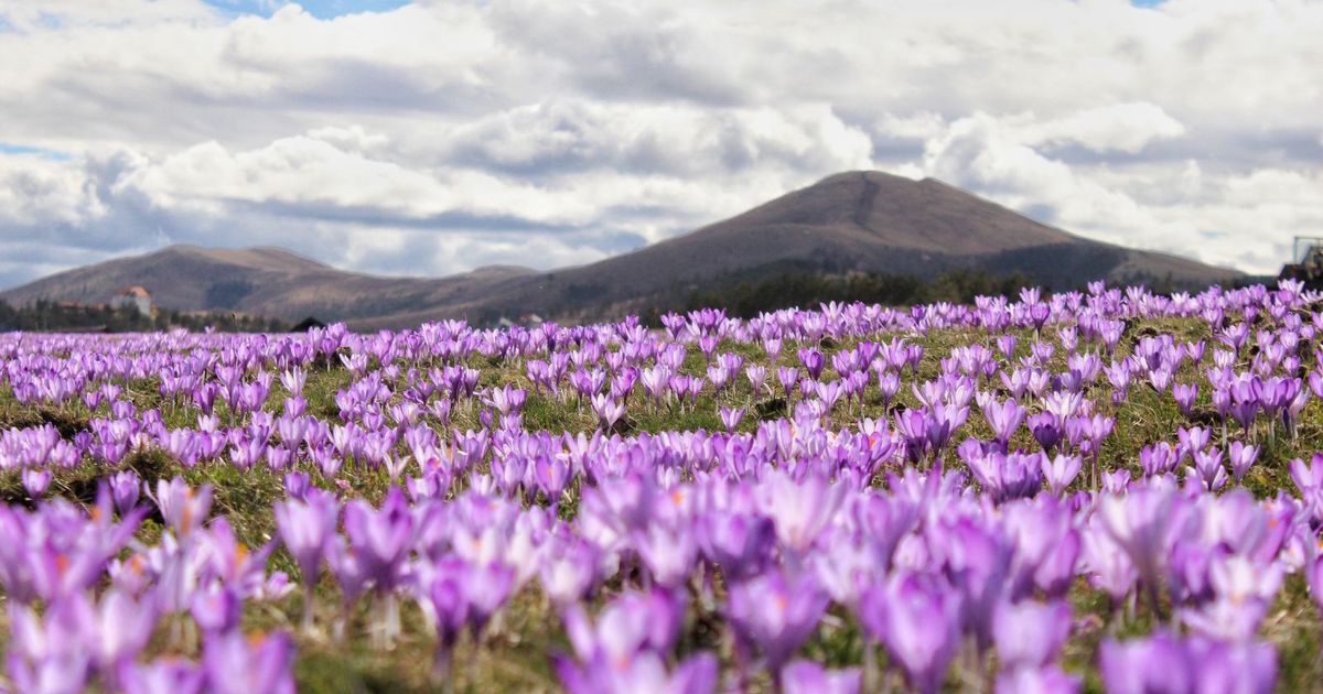 Mo Ete Li Da Poverujete Odakle Su Ove Fotografije Priroda Se Ve