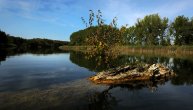 Otpadne vode bolnice u Vrbasu izlivaju se u Veliki bački kanal: Po vodi plutaju štapići sa vatom