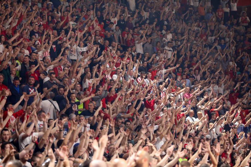 Navijači Crvene zvezde, Delije Navijači Crvene zvezde, Delije
