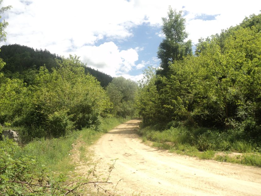 Veliki Trnovac, Dani Kapetana lešija, malo drugačija priča Veliki Trnovac, Dani Kapetana lešija, malo drugačija priča
