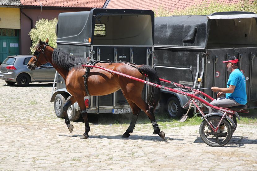 Sombor, Trka Konja Sombor, Trka Konja