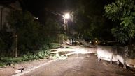 Nevreme srušilo ogromno drvo u Zemunu: Džinovsko stablo preprečilo celu ulicu, oštetilo kuću (FOTO)
