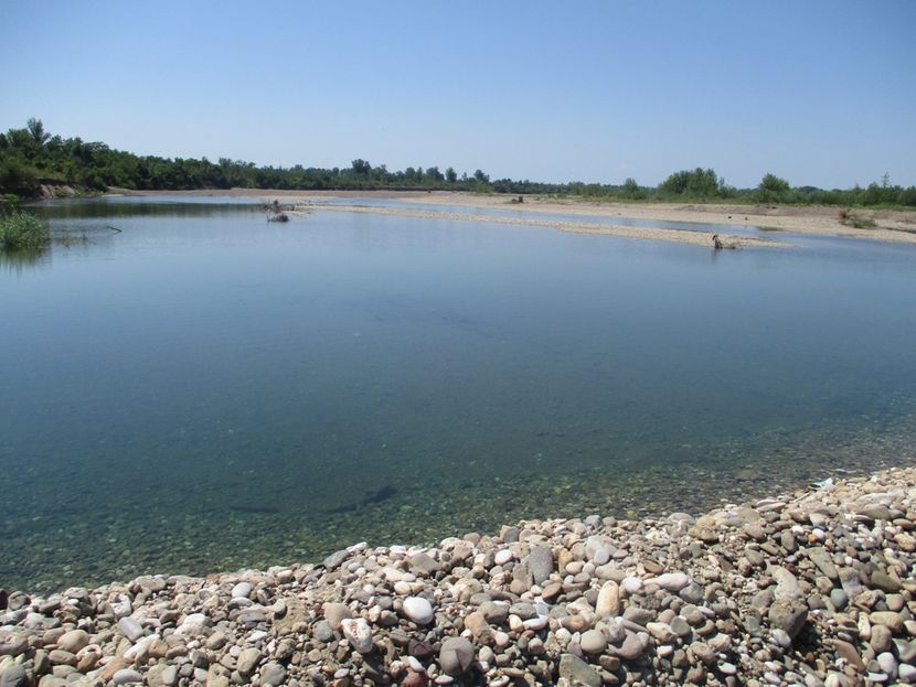 Drina Drina