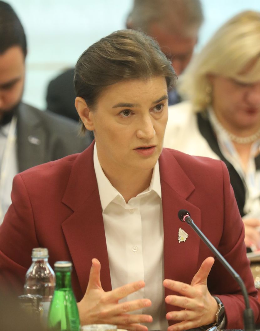 Ana Brnabić, plenarna sednica Ana Brnabić, plenarna sednica