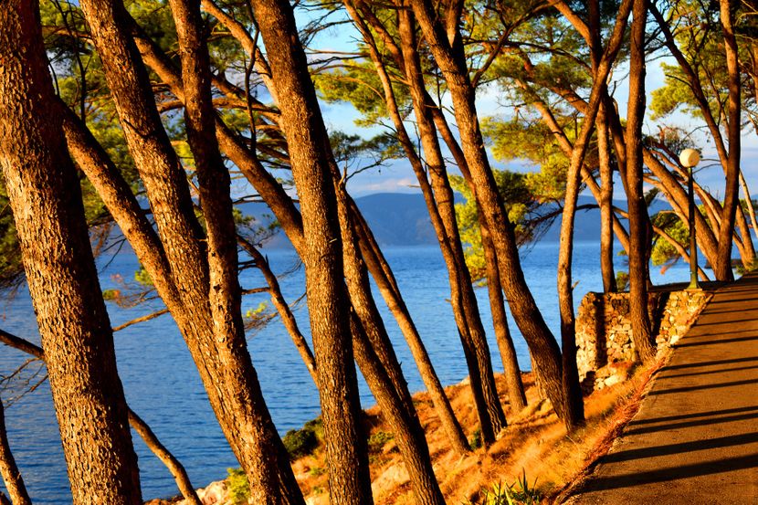 hvar, hrvatska hvar, hrvatska