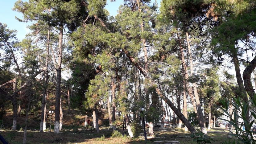 Halkidiki, nevreme, Grcka Halkidiki, nevreme, Grcka