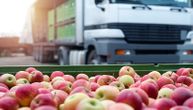 Otvaraju nam se nova tržišta: Za dva dana kreće izvoz srpske jabuke u Indiju