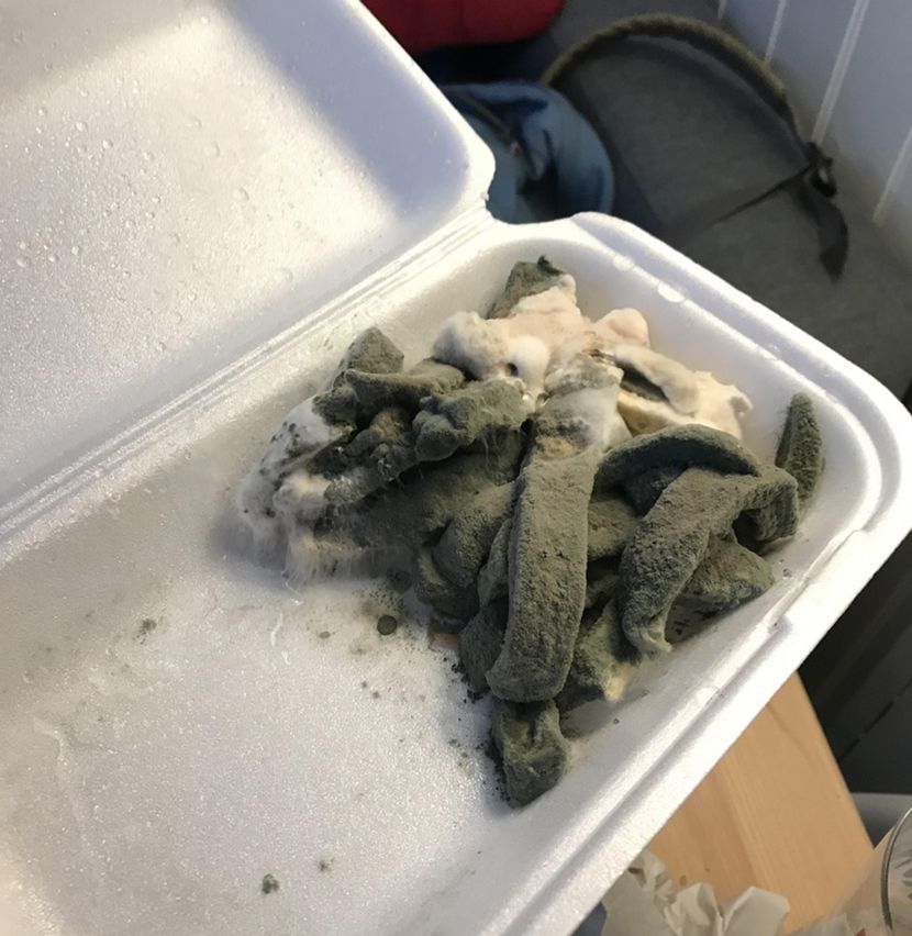 Uzasni cimeri, nered, soba, haos Uzasni cimeri, nered, soba, haos