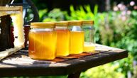 Pčelari upozoravaju: U Srbiju uvezen sumnjiv med iz Ukrajine, i do šest puta jeftiniji od našeg
