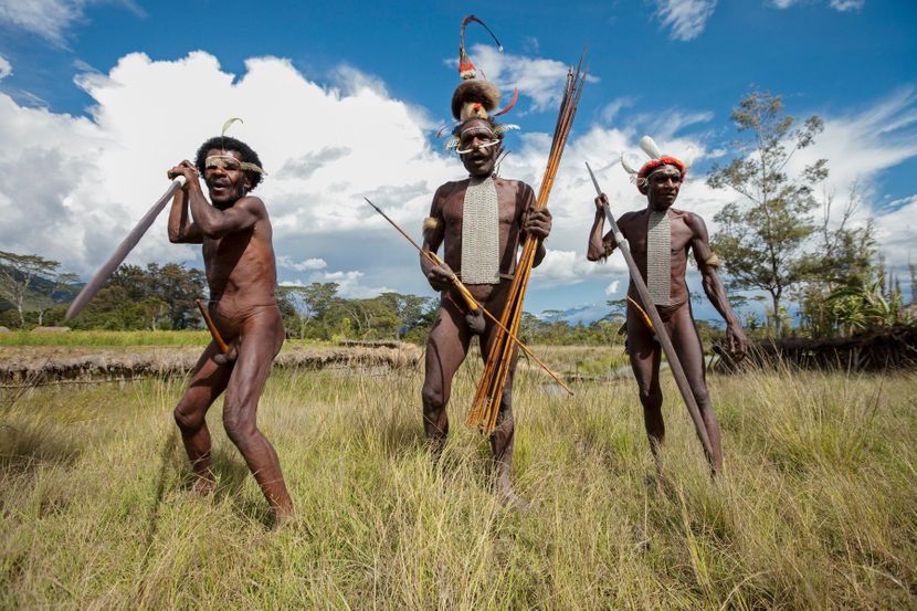 Pleme Dani, Papua Nova Gvineja