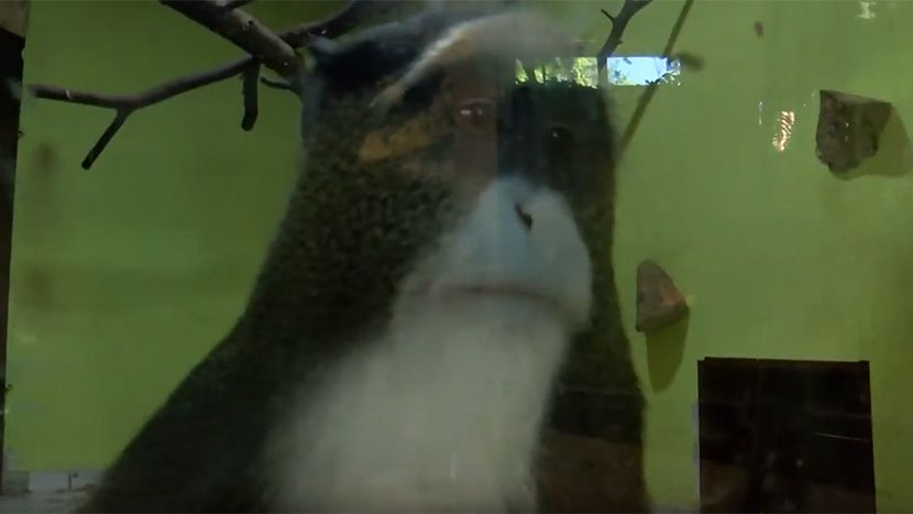 Zoo vrt Palic Zoo vrt Palic