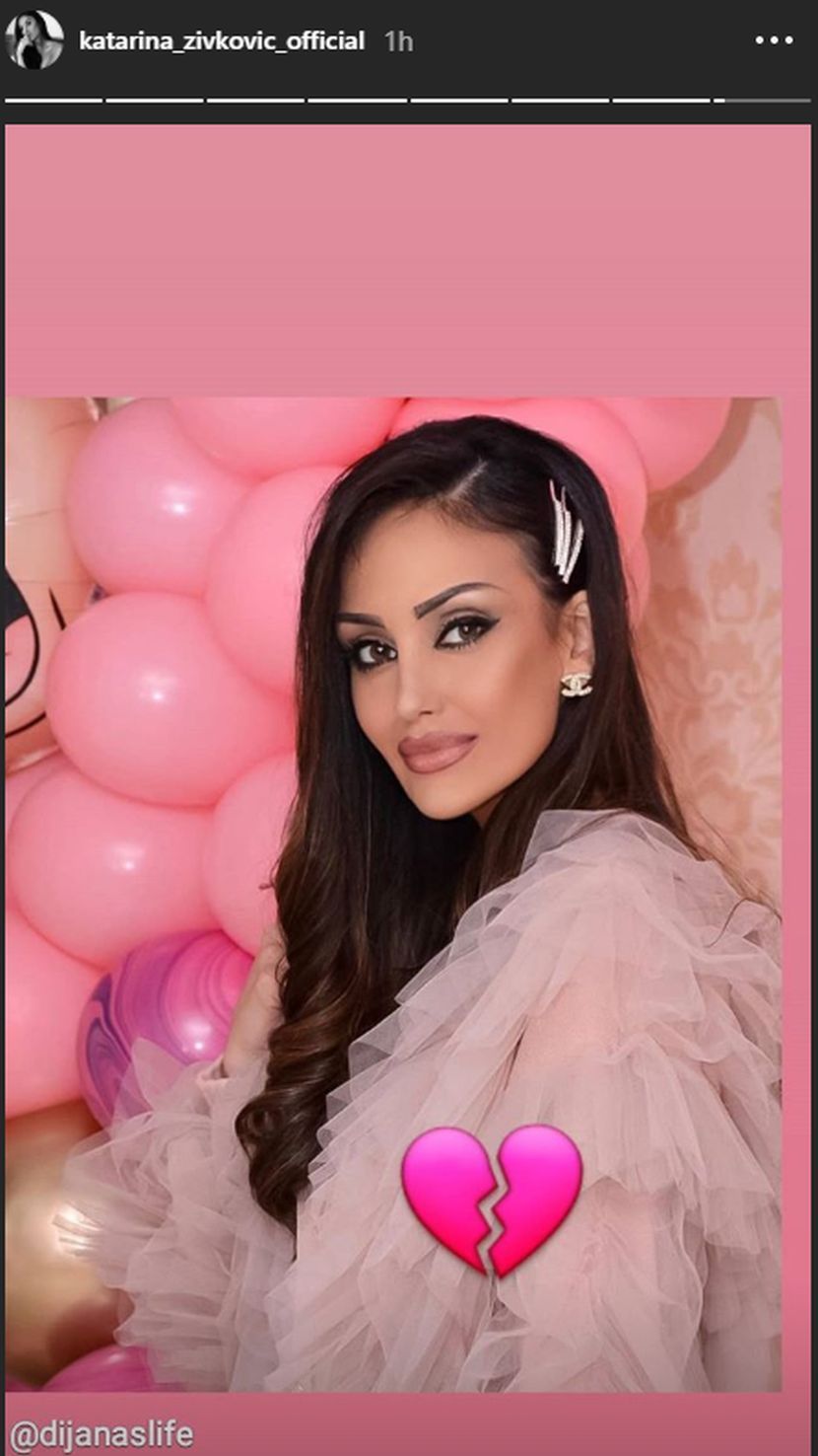 Dijana Milojković Dijana Milojković