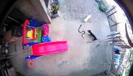 Kobra ušla u dvorište hrabri psi odbranili mesto gde se deca igraju