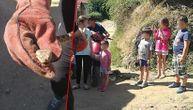 Najopasnija evropska zmija pronađena u Vranju: Skrivala se u dvorištu gde su se igrala deca (FOTO)