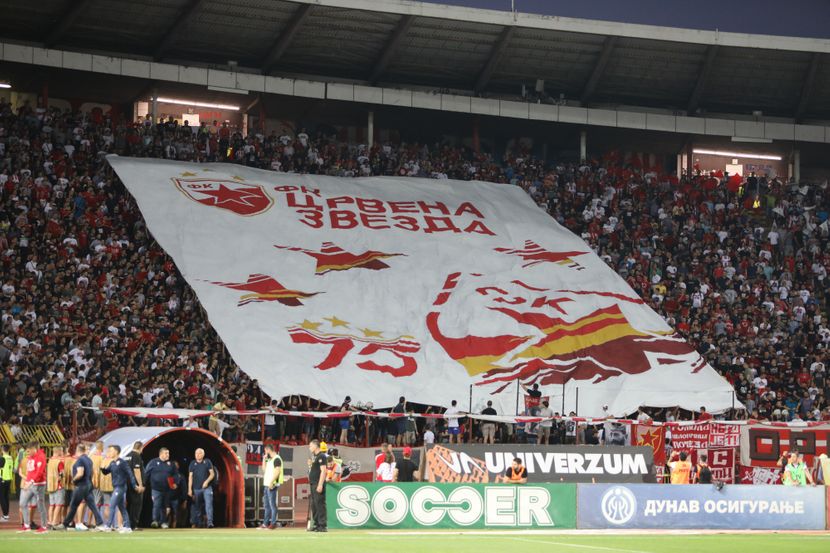 Navijači Crvene zvezde, Delije Navijači Crvene zvezde, Delije