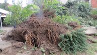 Jezive slike dan nakon velikog nevremena u okolini Banjaluke: Šuma je mrtva