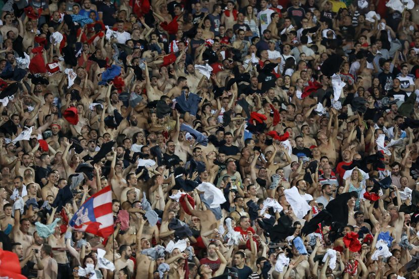 Navijači Crvene zvezde, Delije Navijači Crvene zvezde, Delije