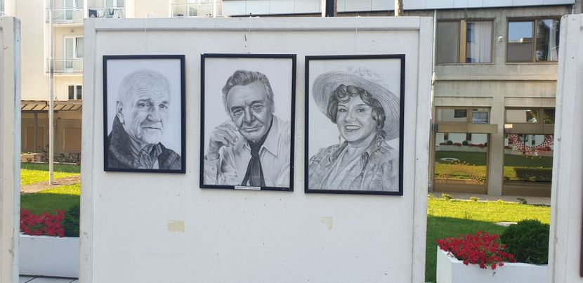 Dani Bate Stojkovića, izložba Dani Bate Stojkovića, izložba