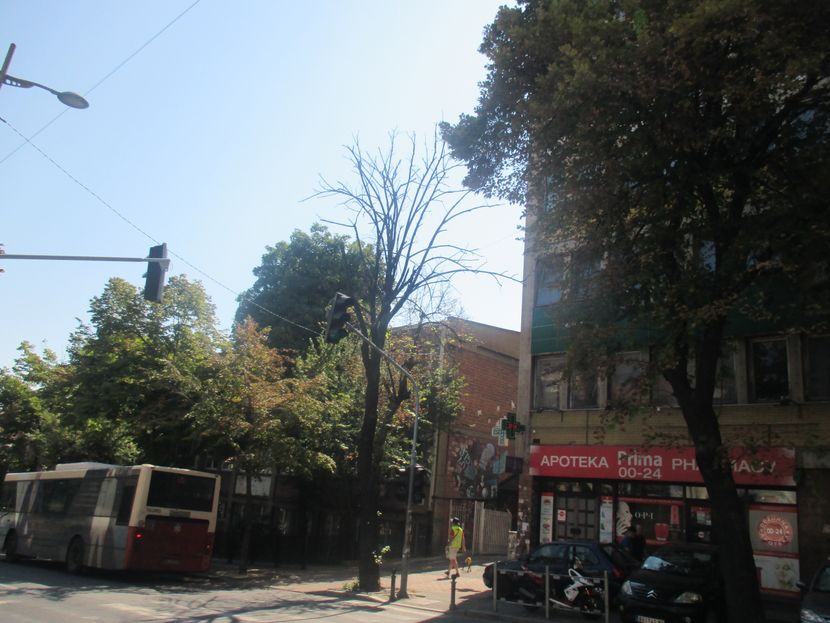 Francuska ulica, Beograd Francuska ulica, Beograd