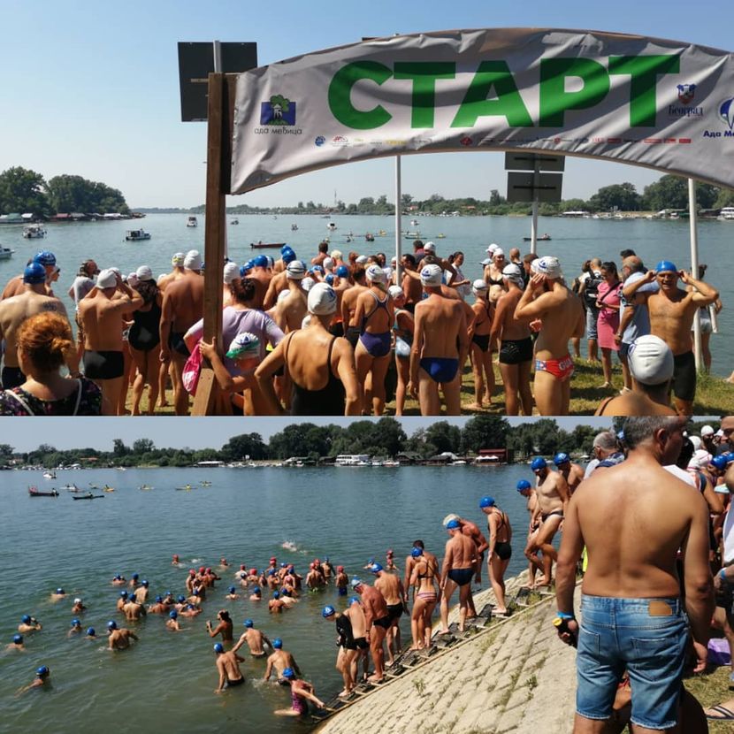 Beogradski plivački maraton Beogradski plivački maraton