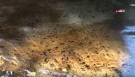 Mazut pliva Ivanjicom: Cisterna je pukla, a gde niko ne zna, ogromna šteta po ceo kraj (VIDEO)