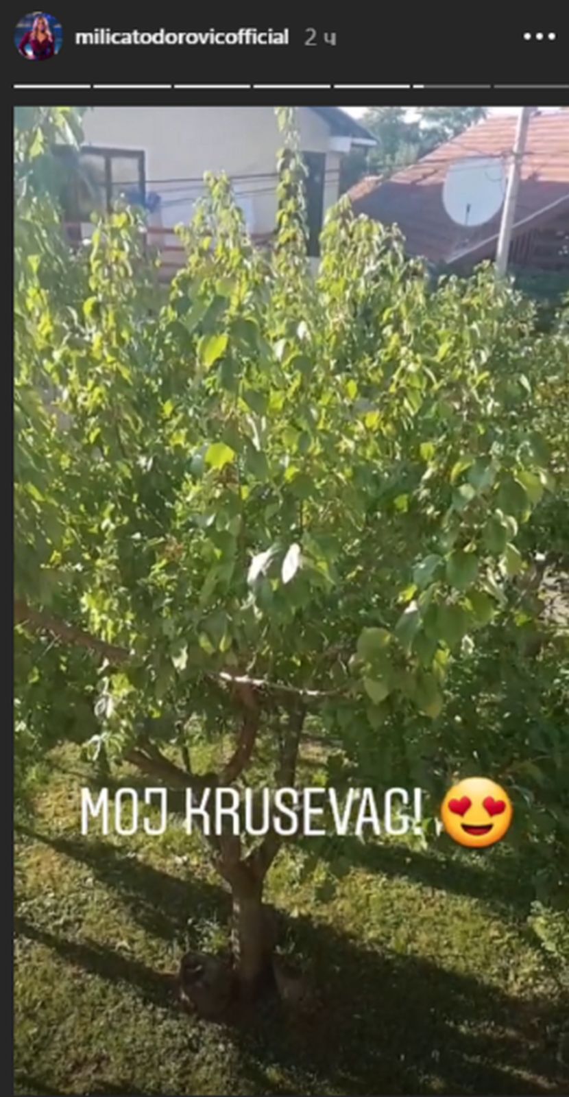 Milica Totorović Milica Totorović