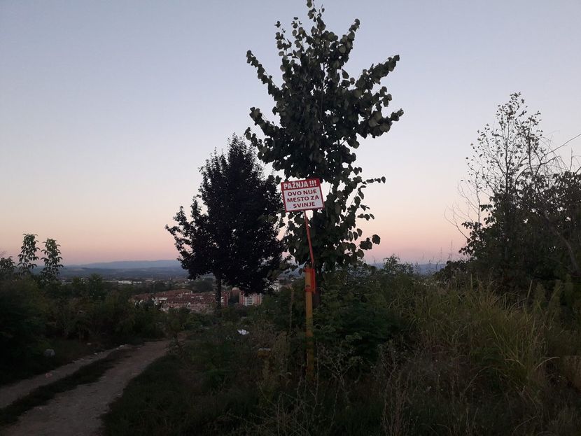 Jagodina Jagodina