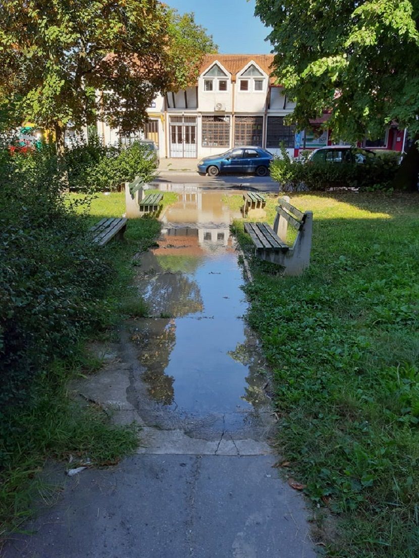 Ulica Pere Velimirovića Ulica Pere Velimirovića