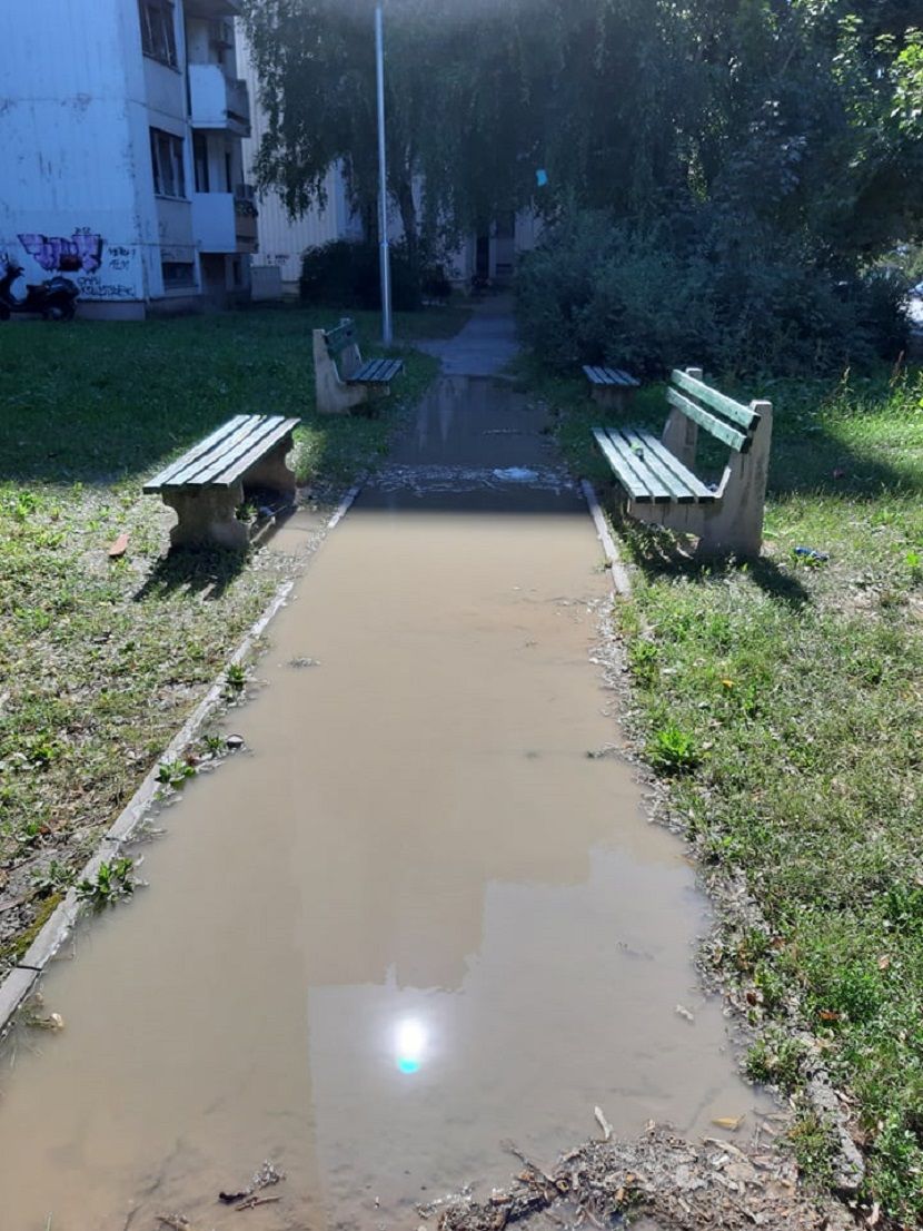Ulica Pere Velimirovića Ulica Pere Velimirovića