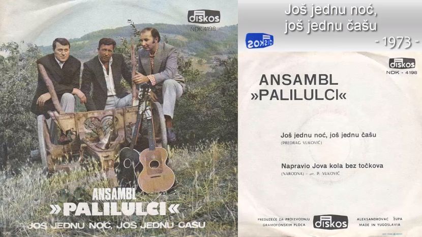 Palilulci, Muzička apoteka Palilulci, Muzička apoteka