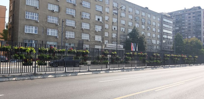 Gradsko zelenilo, cveće, Bulevar Živojina Mišića Gradsko zelenilo, cveće, Bulevar Živojina Mišića