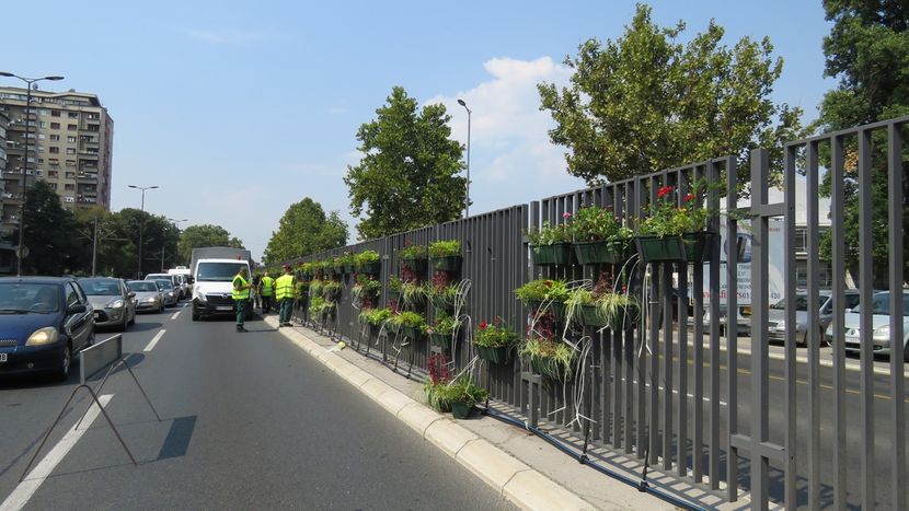 Gradsko zelenilo, cveće, Bulevar Živojina Mišića Gradsko zelenilo, cveće, Bulevar Živojina Mišića