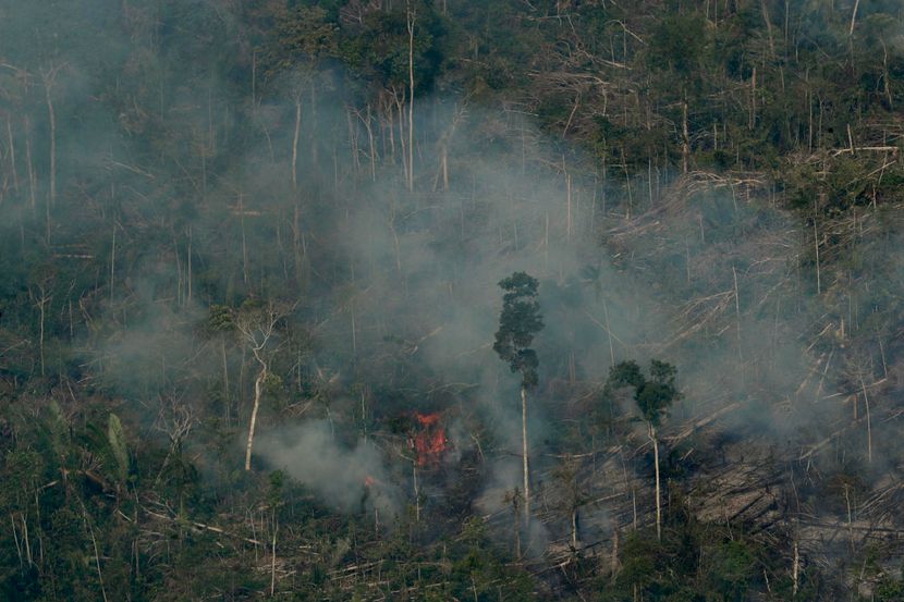 Požari, Brazil Amazon Fires Požari, Brazil Amazon Fires