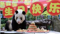 Najstarija panda u zatočeništvu, napunila 38 godina: Slavljenica dobila veliku voćnu tortu