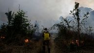 Prirodna katastrofa: Za godinu dana uništena je prašuma velika kao Portoriko