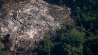 Šteta koja se ne može popraviti: Ovako je došlo do katastrofalnih požara u Brazilu